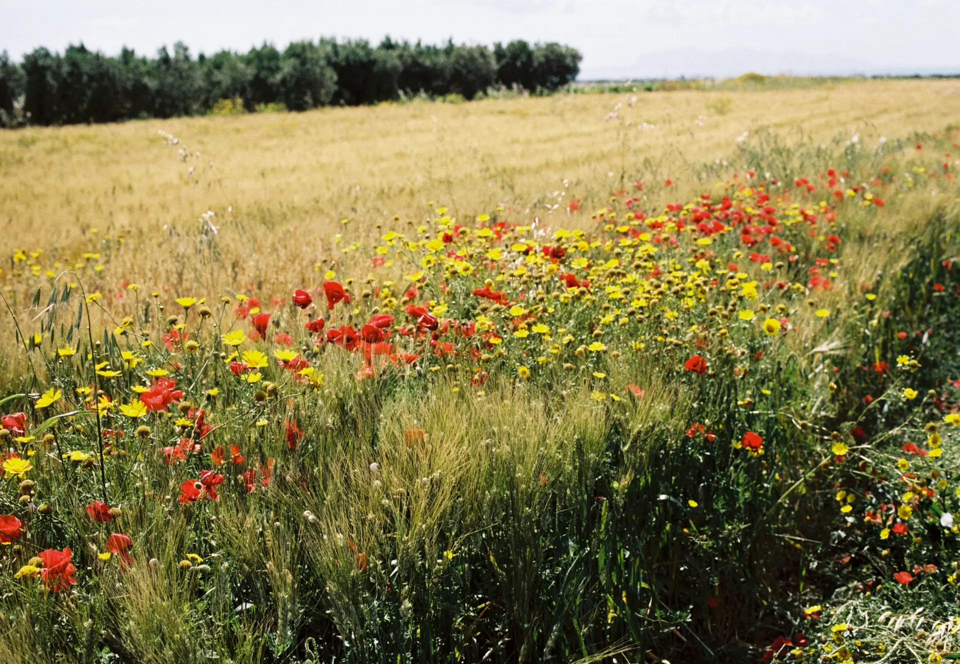 La Biosthetique Friseur Klimaschutz 1 5 Grad Salon Target 14